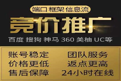 百度推广成功案例：打造行业领军品牌之路