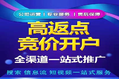 百度推广运营策略解析及成功案例分享